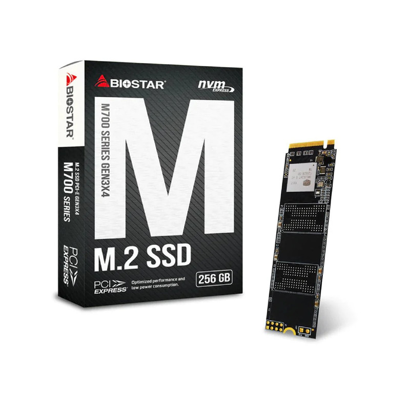 Biostar M760 Series 256GB Nvme Gen 3 M.2 SSD - مساحة تخزين